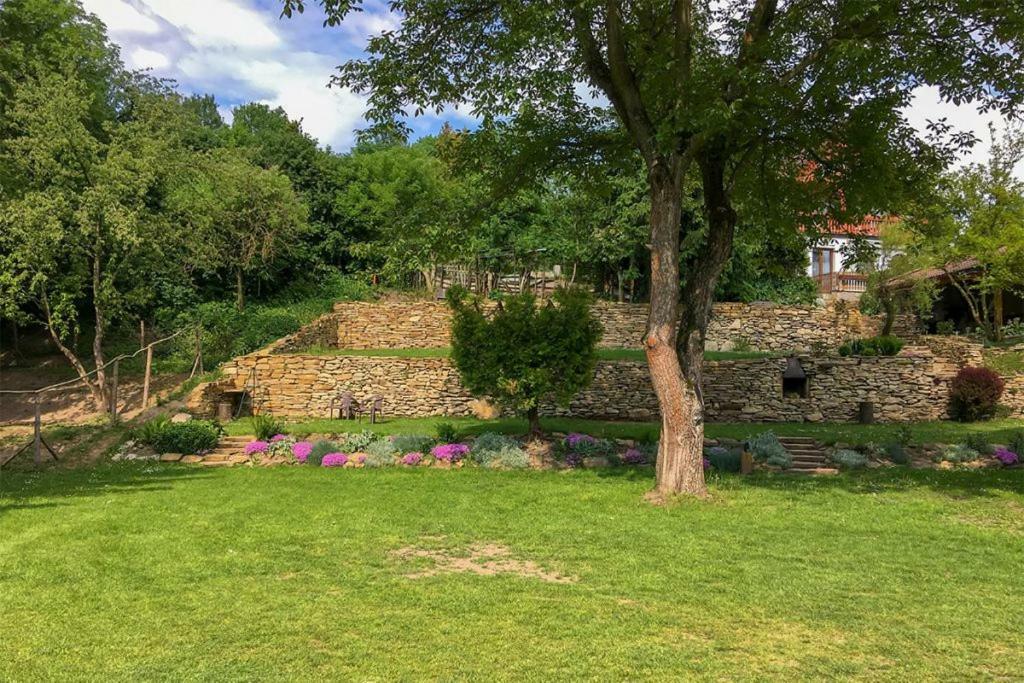 Penzion Na Hradcanech Nové Město nad Metují Exteriör bild